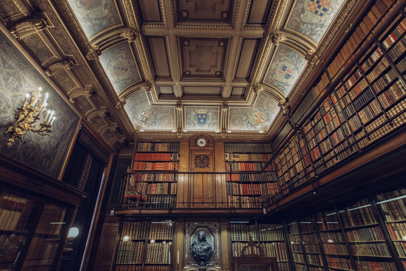 librairie-LES ARCS-min_library-863148